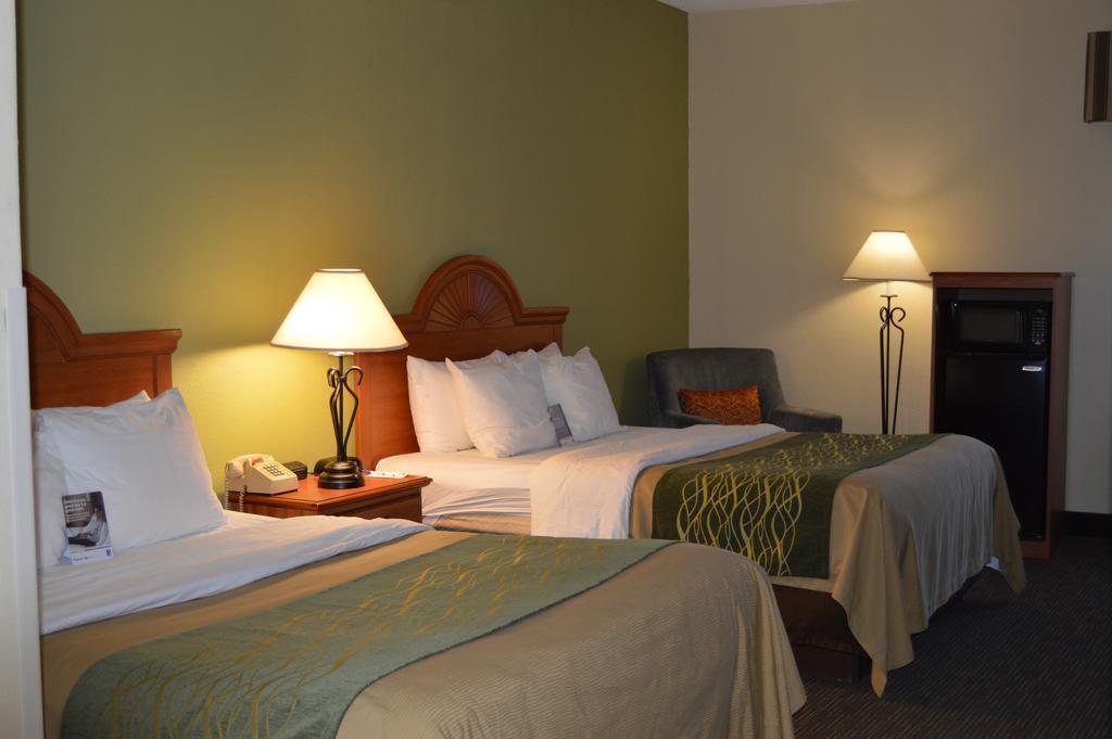 Comfort Inn Pine Grove I-81 Hershey Area Ngoại thất bức ảnh