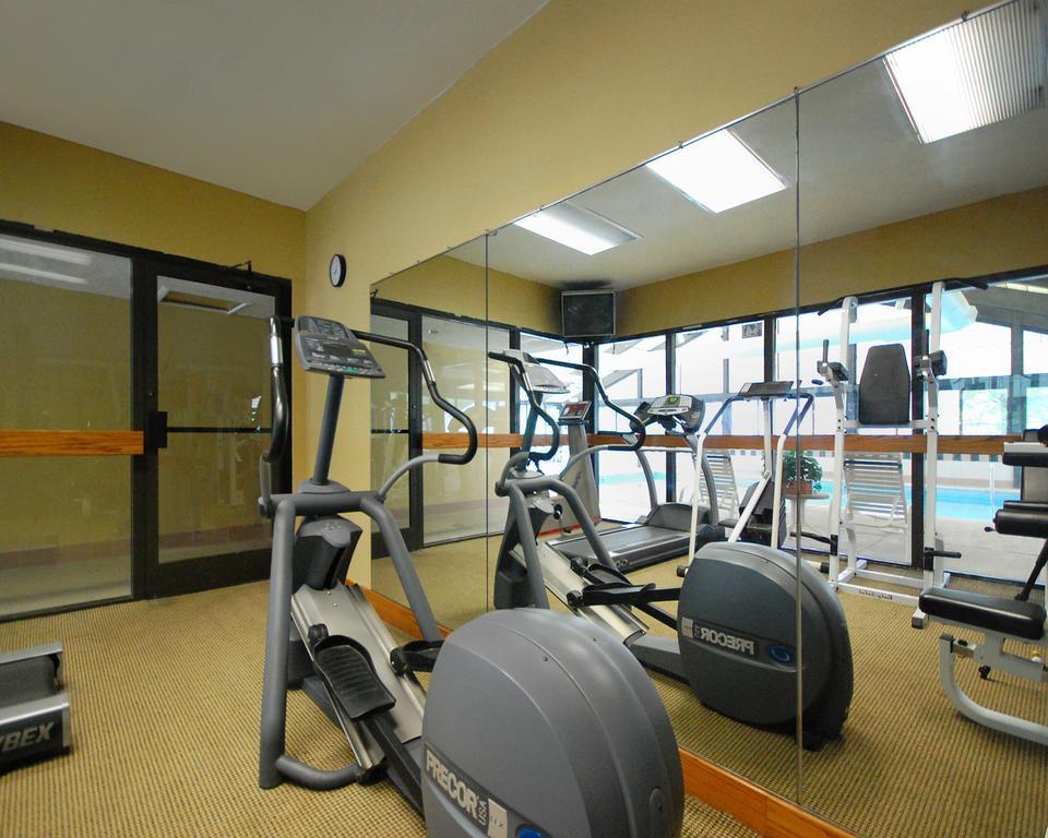 Comfort Inn Pine Grove I-81 Hershey Area Ngoại thất bức ảnh